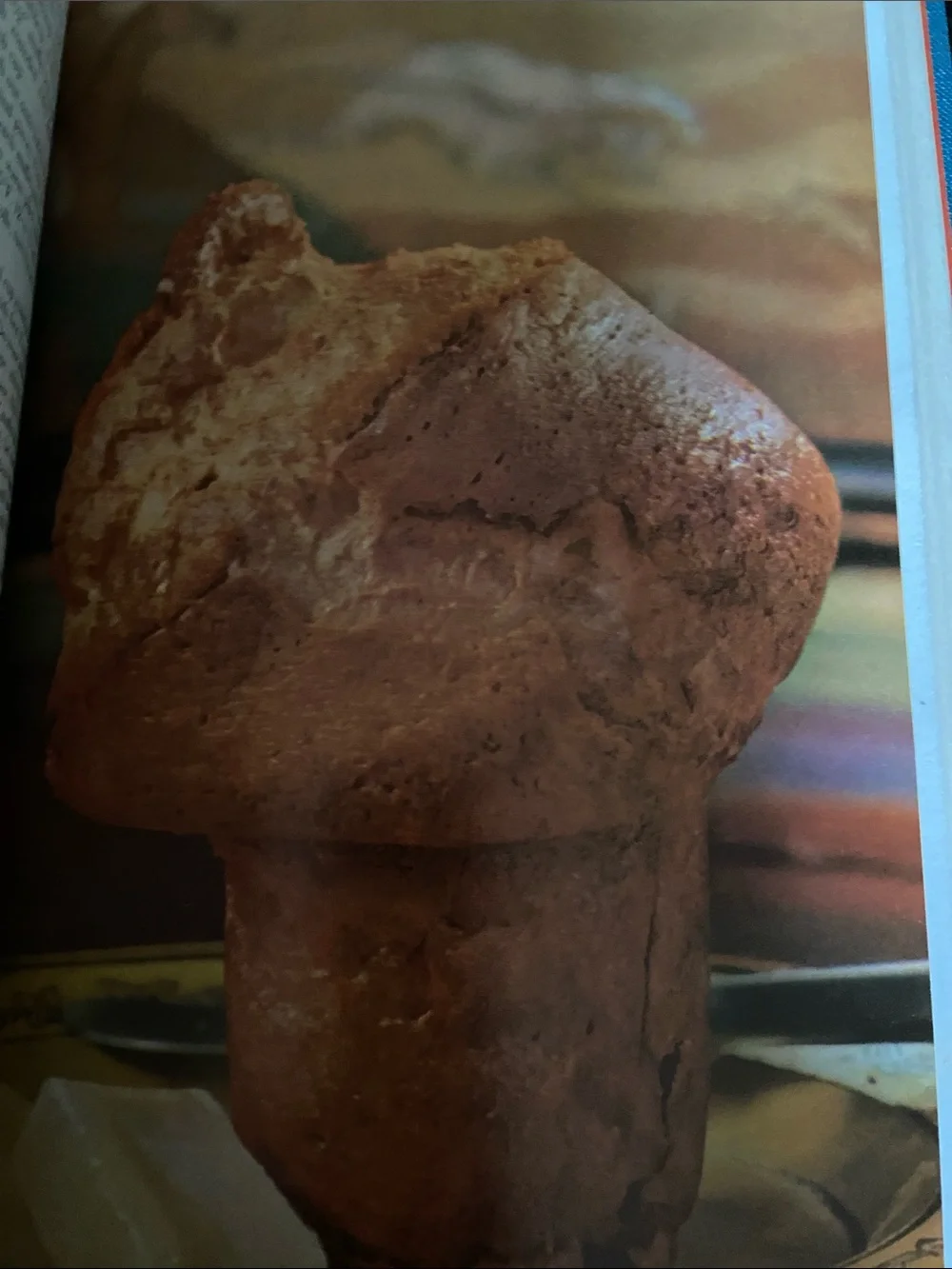 Vintage 60s 1960s Mid Century Goodhousekeeping Cookbook cookies dessert cake pie
